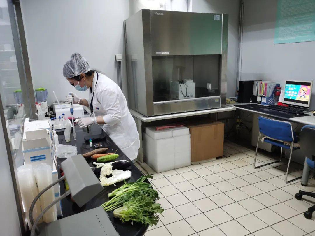辽宁食品检测实验室装修方案